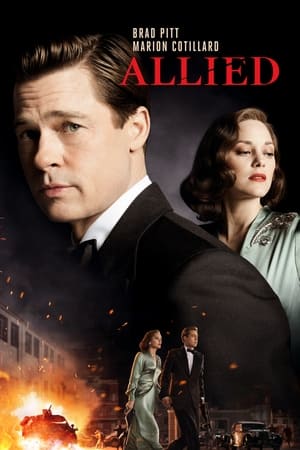 Allied 2016 Hindi Dual Audio | Hindi Dubbed Movie BluRay [1.3GB]