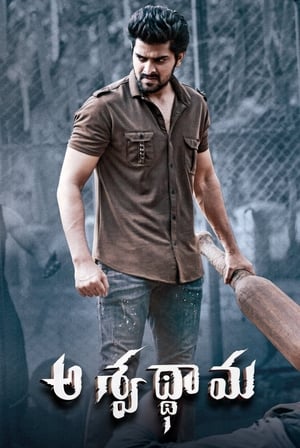 Aswathama 2020 (Hindi – Telugu) Dual Audio | Hindi Dubbed Movie UnCut HDRip 340MB