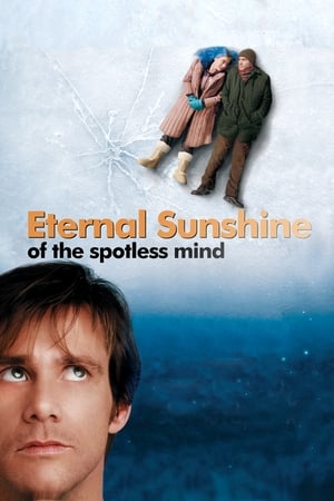Eternal Sunshine Of The Spotless Mind 2004 Hindi Dual Audio | Hindi Dubbed Movie BluRay [780MB]