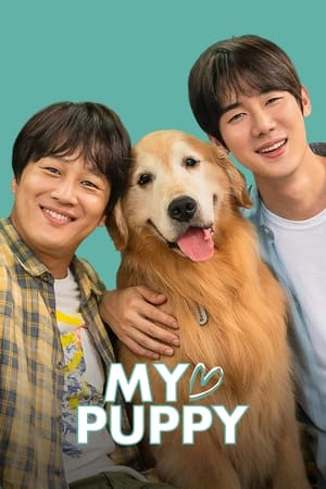 My love puppy (2022) Hindi Dual Audio HDRip | Hindi Dubbed Movie – 480p