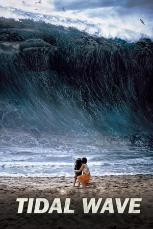 Tidal Wave (2009) Hindi Dual Audio | Hindi Dubbed Movie BluRay 350MB ESubs