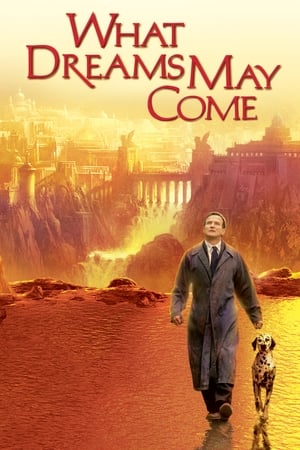 What Dreams May Come (1998) Dual Audio Hindi | Hindi Dubbed Movie BluRay 350MB